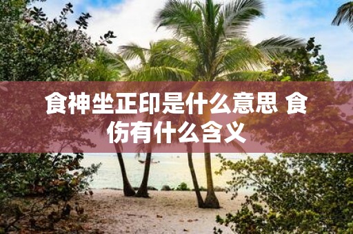 食神坐正印是什么意思 食伤有什么含义