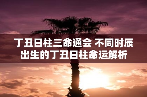 丁丑日柱三命通会 不同时辰出生的丁丑日柱命运解析
