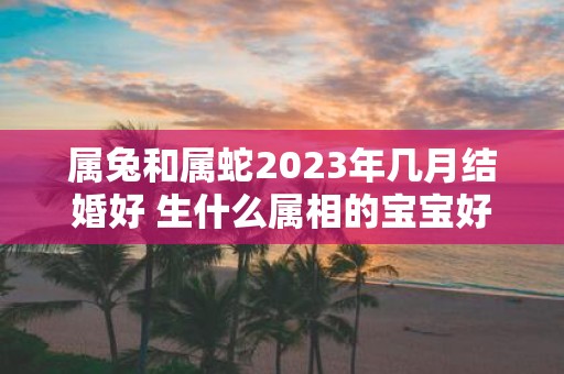 属兔和属蛇2025年几月结婚好 生什么属相的宝宝好