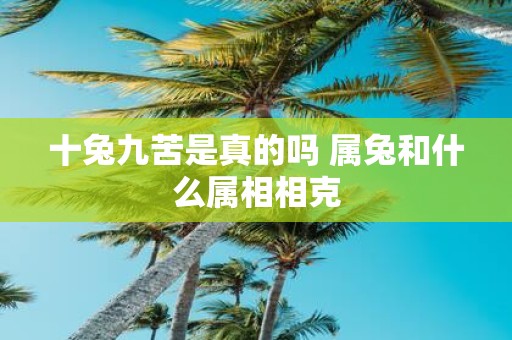 十兔九苦是真的吗 属兔和什么属相相克
