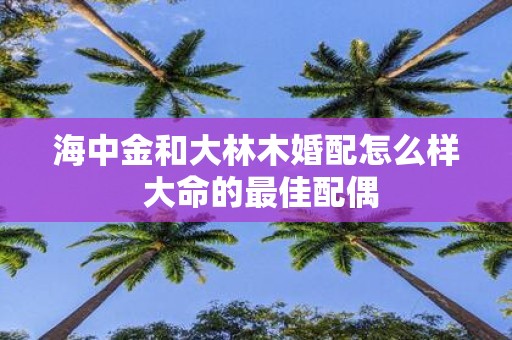 海中金和大林木婚配怎么样 大命的最佳配偶