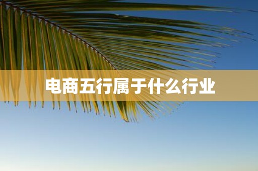 电商五行属于什么行业