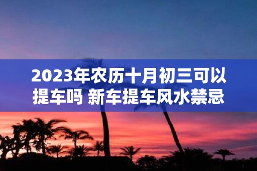 2025年农历十月初三可以提车吗 新车提车风水禁忌