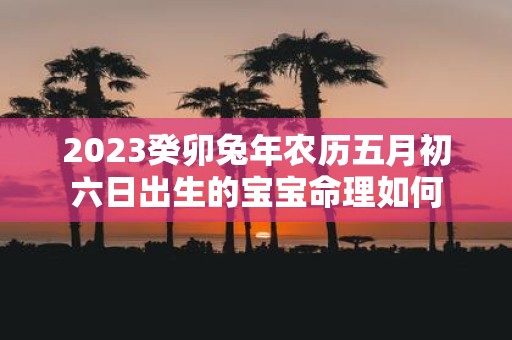 2025癸卯蛇年农历五月初六日出生的宝宝命理如何