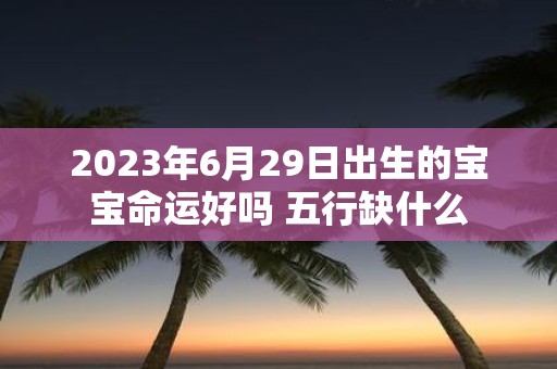 2025年6月29日出生的宝宝命运好吗 五行缺什么