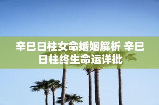 辛巳日柱女命婚姻解析 辛巳日柱终生命运详批