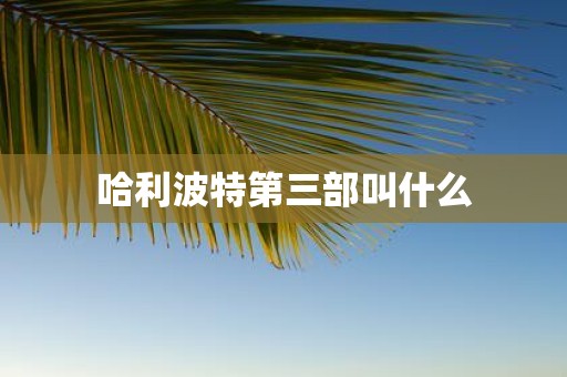 哈利波特第三部叫什么
