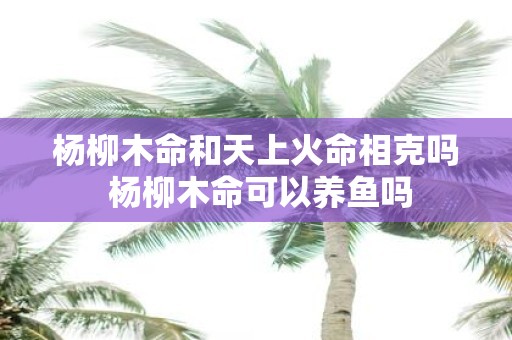 杨柳木命和天上火命相克吗 杨柳木命可以养鱼吗