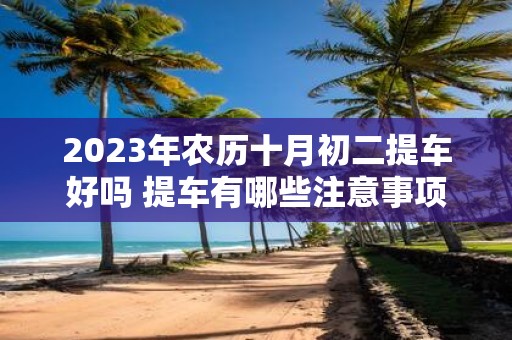 2025年农历十月初二提车好吗 提车有哪些注意事项