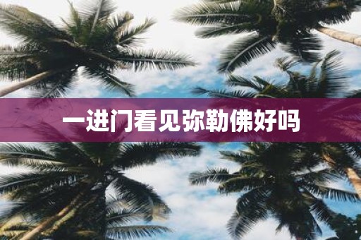 一进门看见弥勒佛好吗
