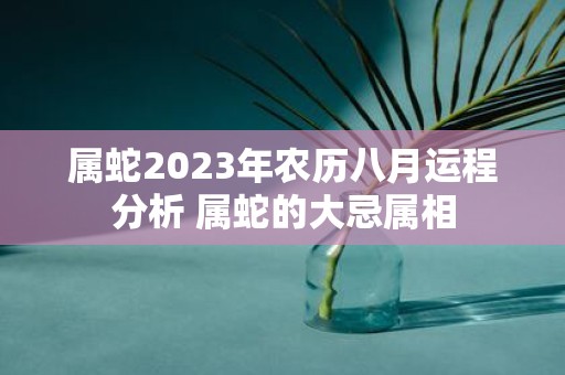 属蛇2025年农历八月运程分析 属蛇的大忌属相
