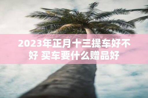 2025年正月十三提车好不好 买车要什么赠品好