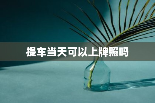 提车当天可以上牌照吗