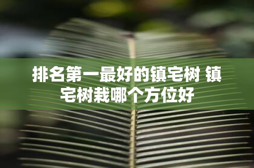 排名第一最好的镇宅树 镇宅树栽哪个方位好