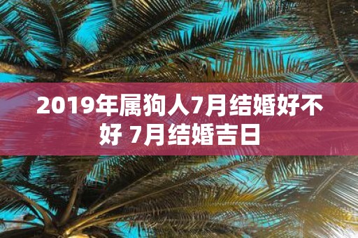 2019年属狗人7月结婚好不好 7月结婚吉日