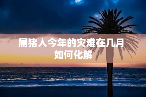 属猪人今年的灾难在几月 如何化解