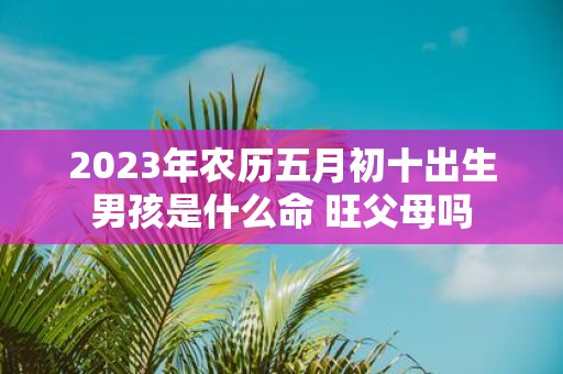 2025年农历五月初十出生男孩是什么命 旺父母吗