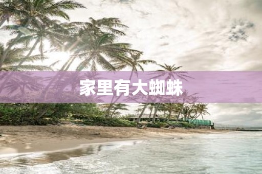 家里有大蜘蛛