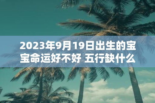 2025年9月19日出生的宝宝命运好不好 五行缺什么