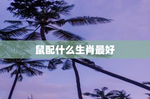 鼠配什么生肖最好