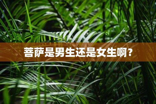 菩萨是男生还是女生啊？