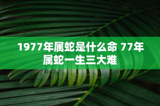 1977年属蛇是什么命 77年属蛇一生三大难