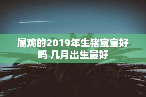属鸡的2019年生猪宝宝好吗 几月出生最好