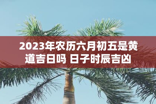 2025年农历六月初五是黄道吉日吗 日子时辰吉凶