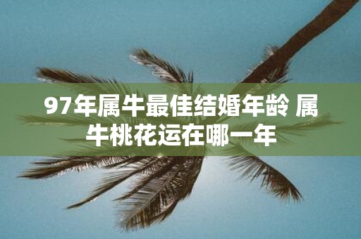 97年属牛最佳结婚年龄 属牛桃花运在哪一年