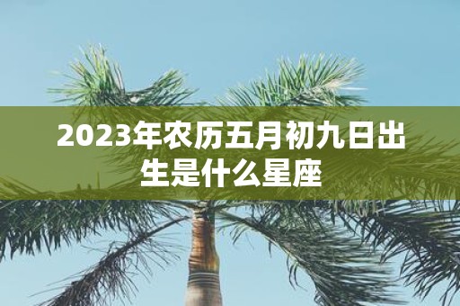 2025年农历五月初九日出生是什么星座