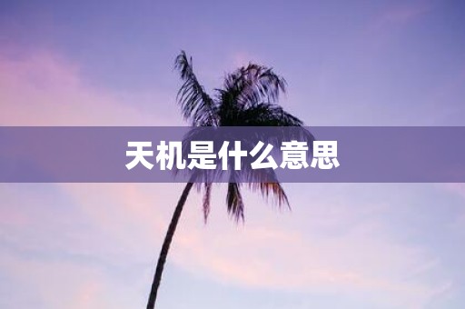 天机是什么意思