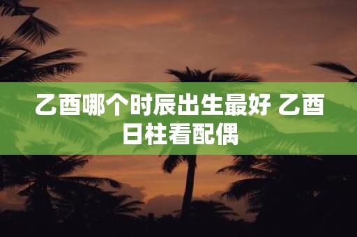 乙酉哪个时辰出生最好 乙酉日柱看配偶