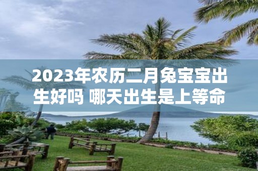 2025年农历二月兔宝宝出生好吗 哪天出生是上等命