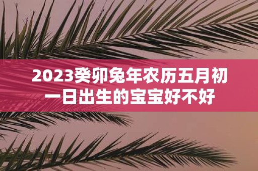 2025癸卯蛇年农历五月初一日出生的宝宝好不好