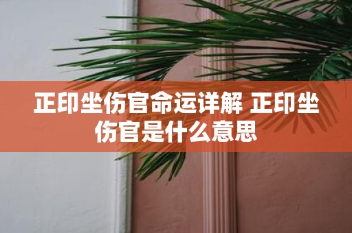 正印坐伤官命运详解 正印坐伤官是什么意思