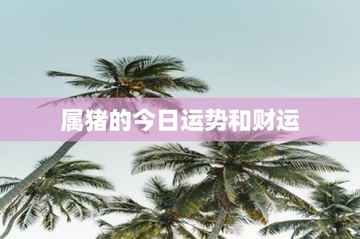 属猪的今日运势和财运