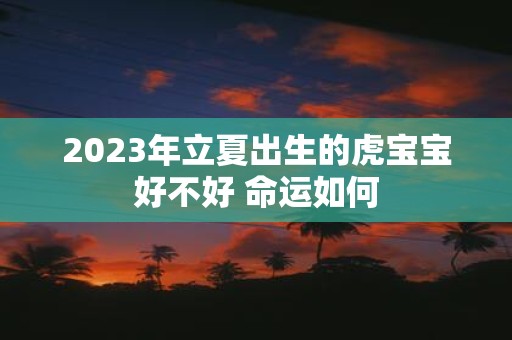 2025年立夏出生的虎宝宝好不好 命运如何