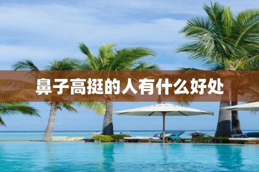 鼻子高挺的人有什么好处