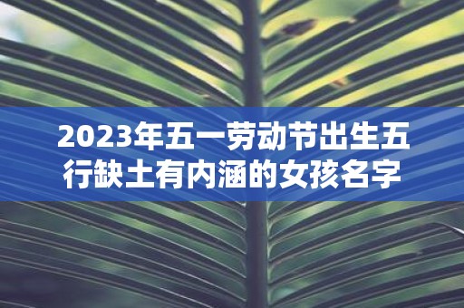 2025年五一劳动节出生五行缺土有内涵的女孩名字