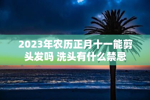 2025年农历正月十一能剪头发吗 洗头有什么禁忌