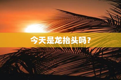 今天是龙抬头吗？
