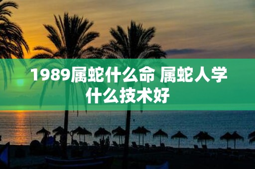 1989属蛇什么命 属蛇人学什么技术好