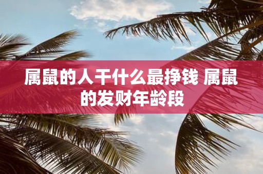 属鼠的人干什么最挣钱 属鼠的发财年龄段