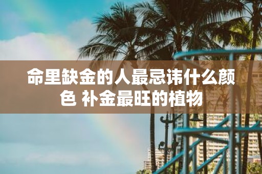 命里缺金的人最忌讳什么颜色 补金最旺的植物