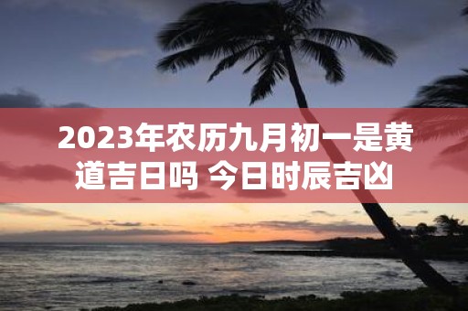 2025年农历九月初一是黄道吉日吗 今日时辰吉凶