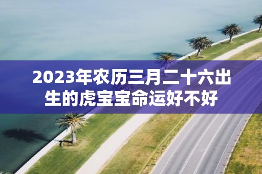 2025年农历三月二十六出生的虎宝宝命运好不好