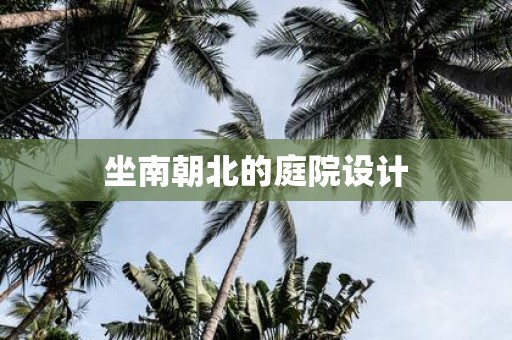 坐南朝北的庭院设计