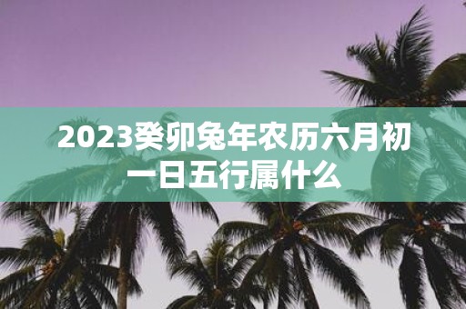 2025癸卯蛇年农历六月初一日五行属什么
