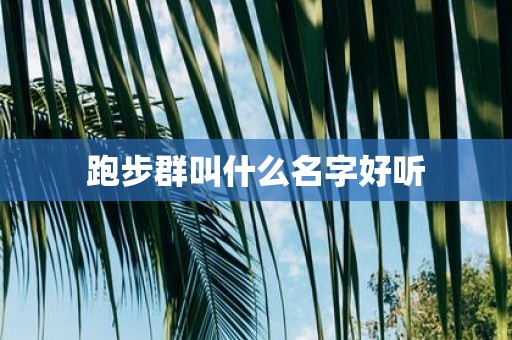 跑步群叫什么名字好听