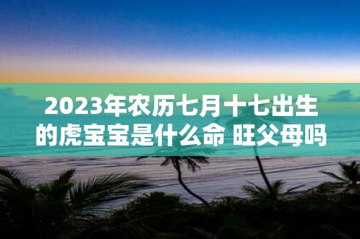 2025年农历七月十七出生的虎宝宝是什么命 旺父母吗
